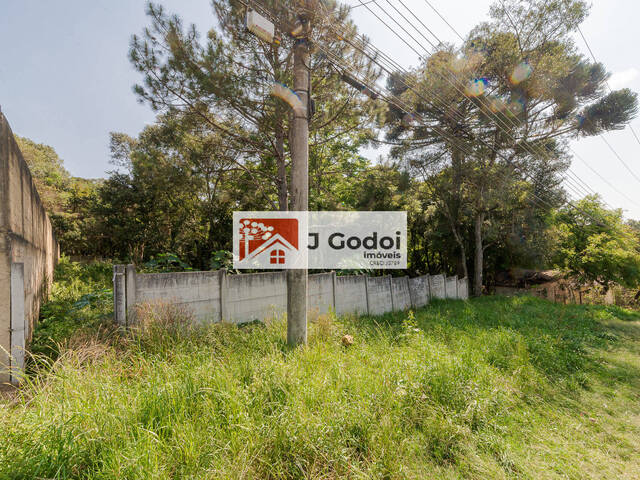 #2053 - Terreno para Venda em Curitiba - PR - 2