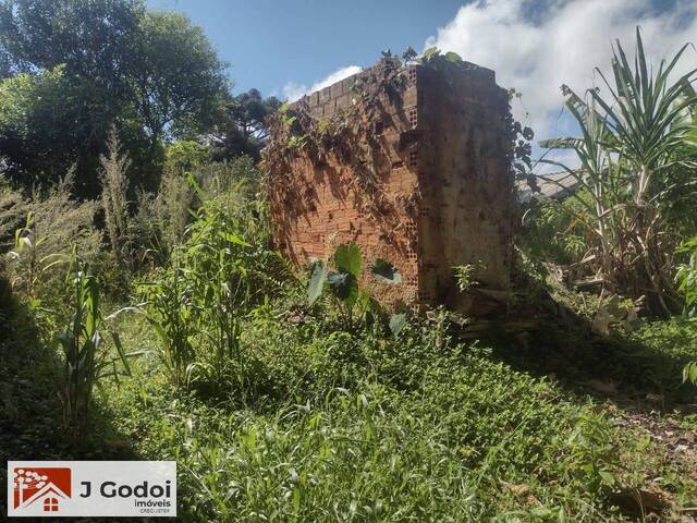 Terreno para Venda em Pinhais - 5