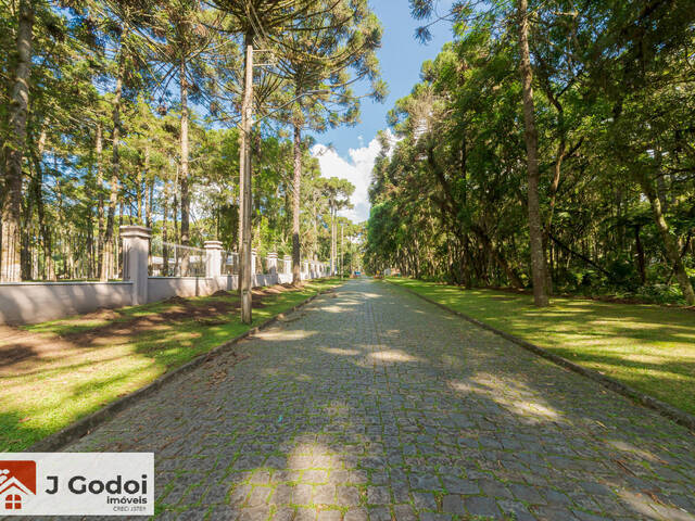 Terreno em condomínio para Venda em Piraquara - 5