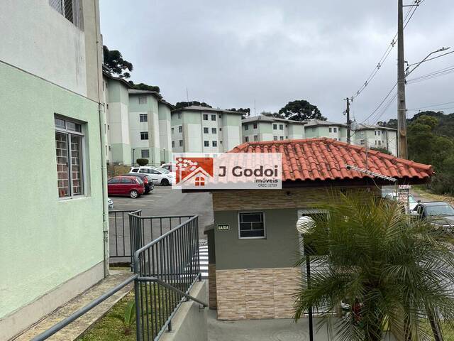 #005006 - Apartamento para Locação em Curitiba - PR - 2