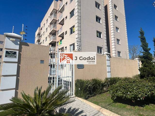 #00507 - Apartamento para Locação em Pinhais - PR - 1