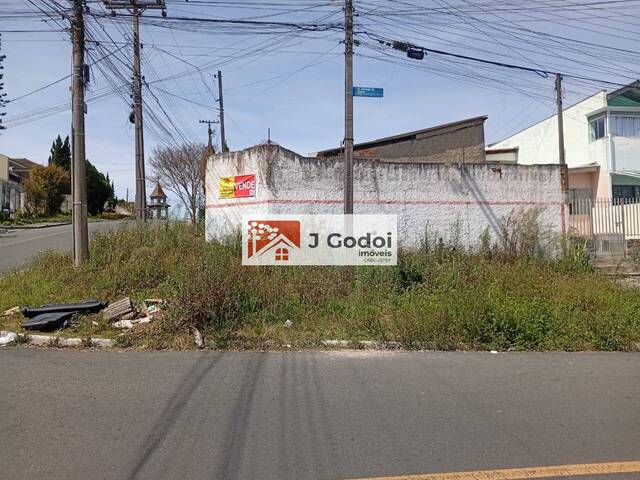 #2135 - Terreno para Venda em Curitiba - PR - 3