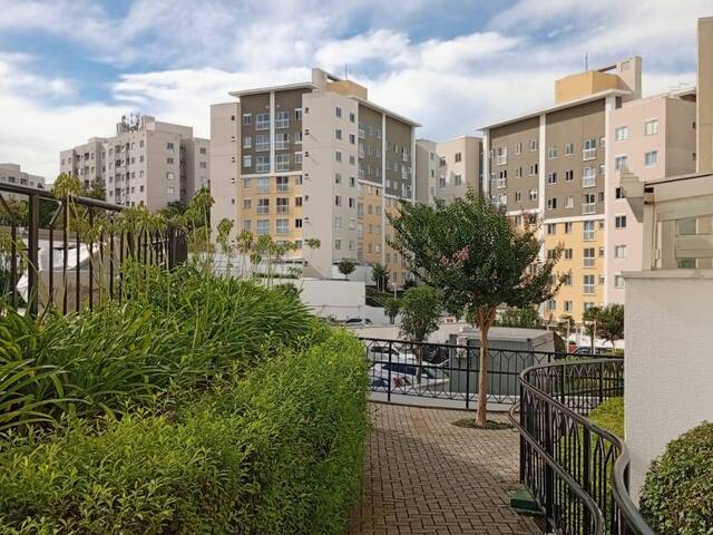 Apartamento para Venda em Curitiba - 5