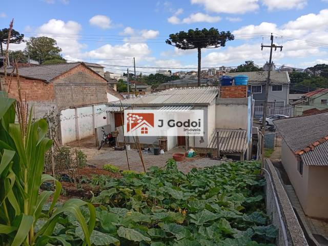Área para Venda em Colombo - 5