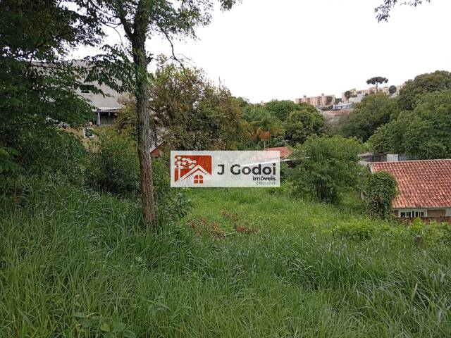 Terreno para Venda em Curitiba - 5
