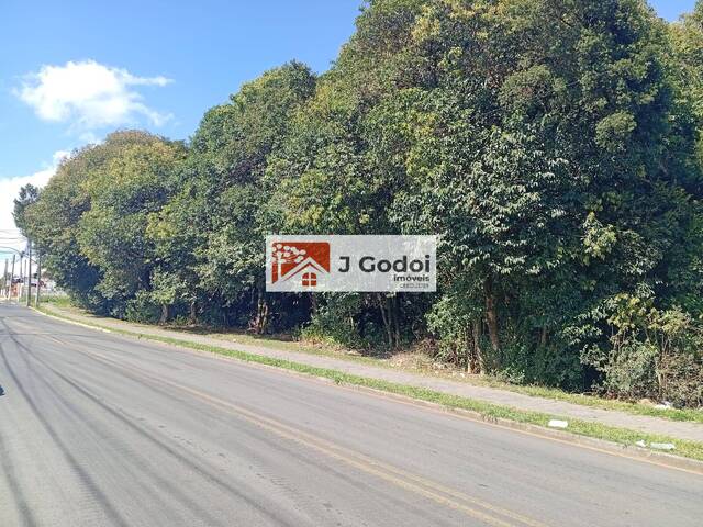 Terreno para Venda em Almirante Tamandaré - 4