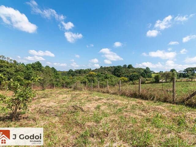 #2226 - Chácara para Venda em Curitiba - PR - 3
