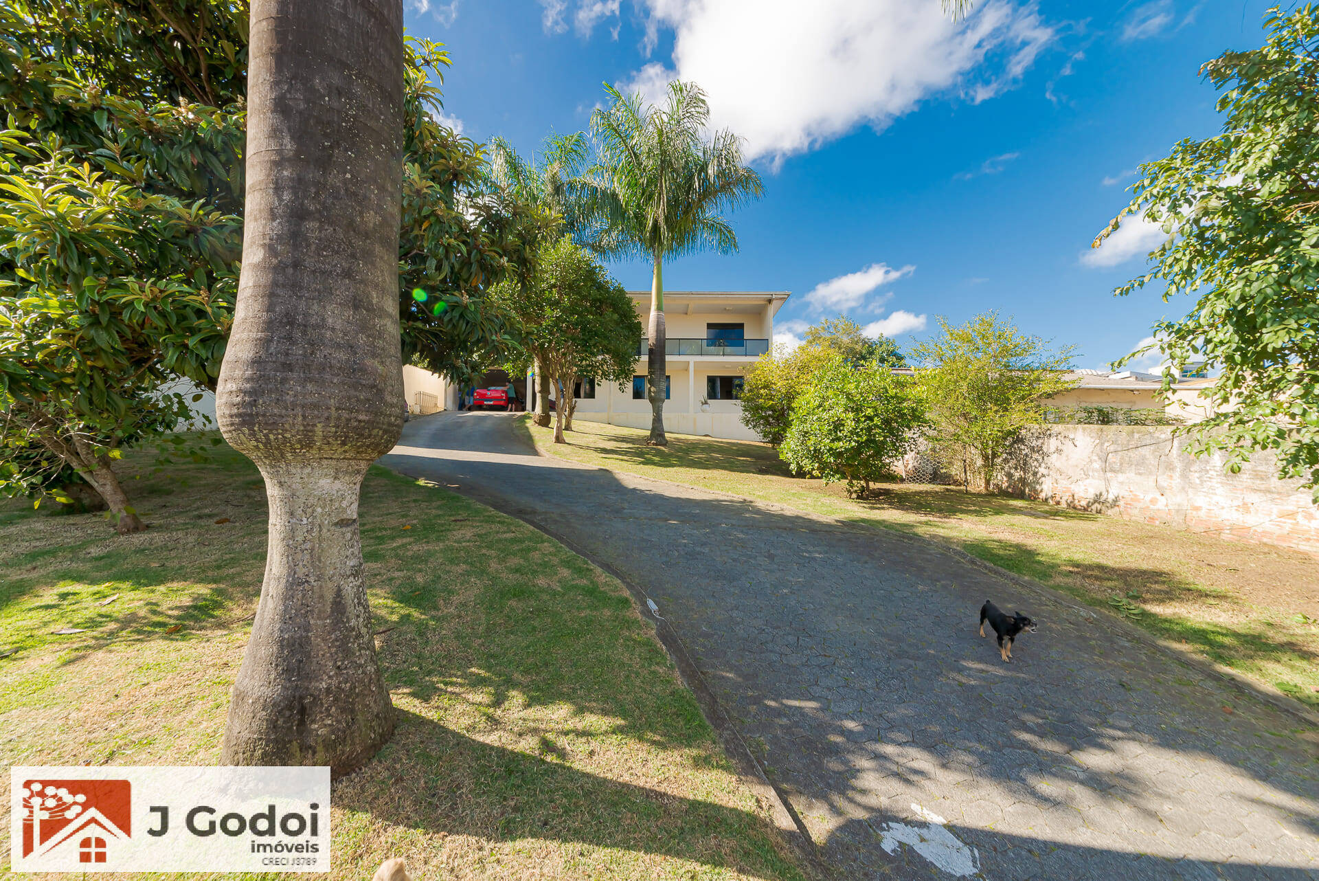 Casa, 4 quartos, 500 m² - Foto 5