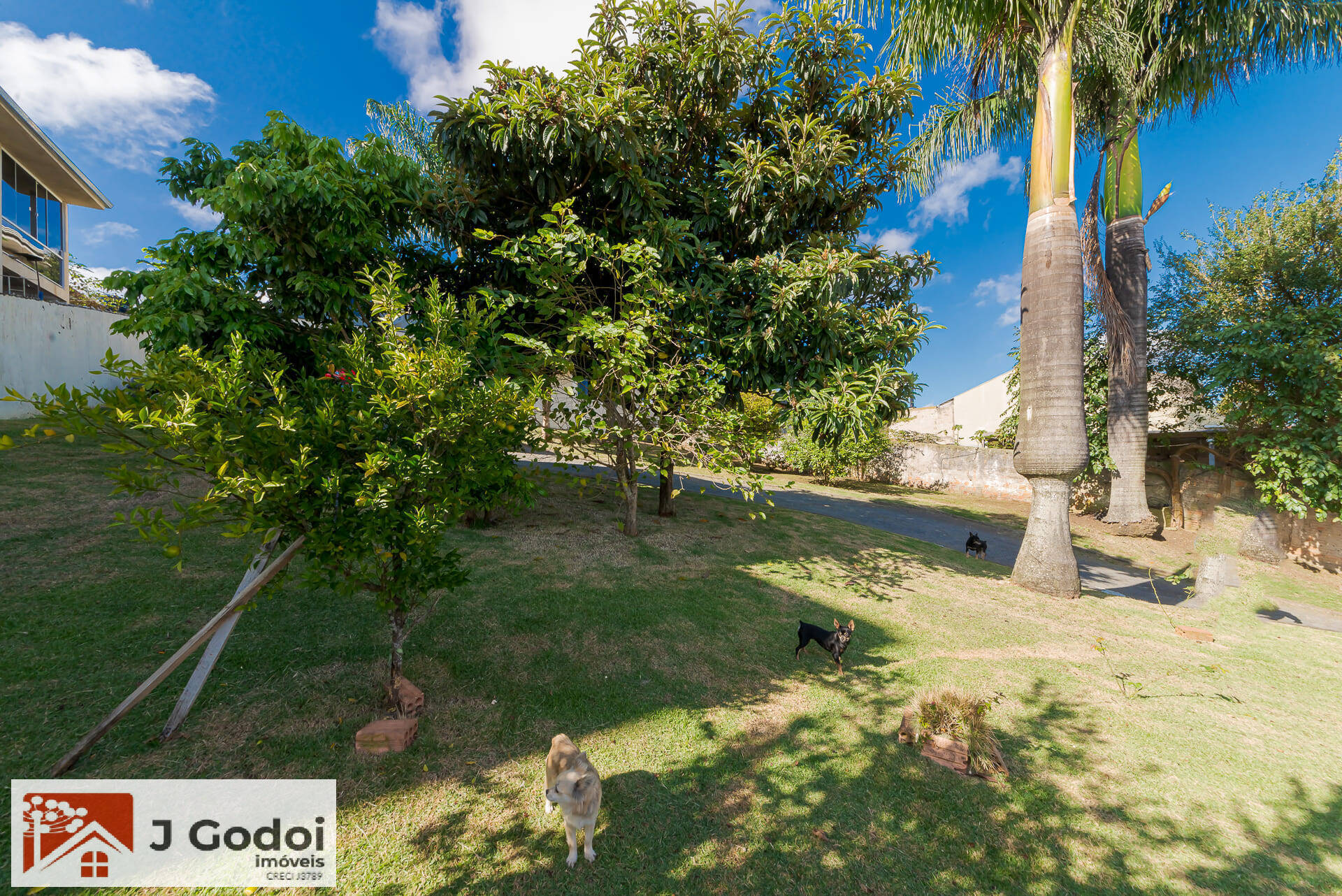 Casa, 4 quartos, 500 m² - Foto 6
