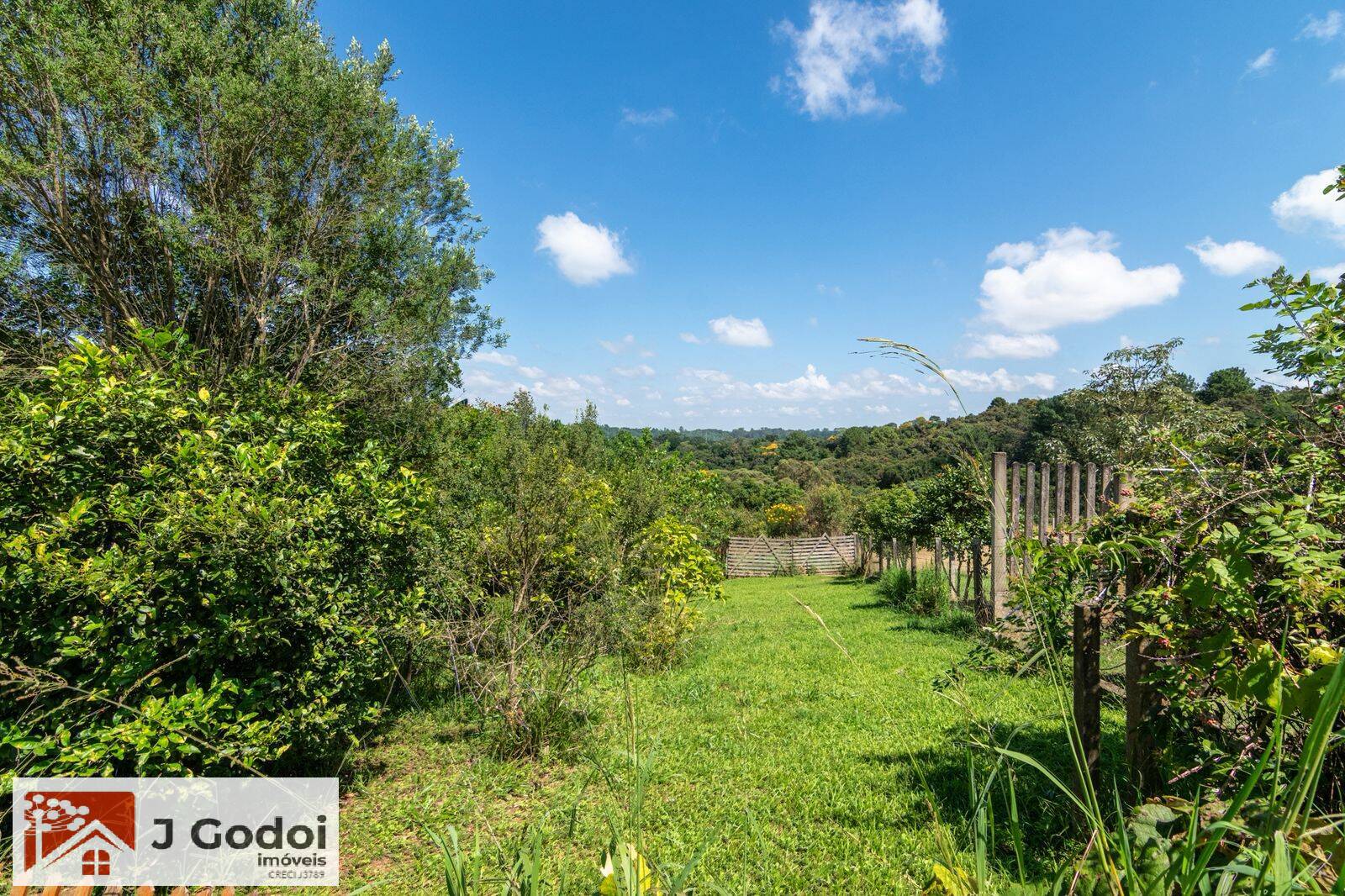 Chácara, 3 quartos, 3 hectares - Foto 13