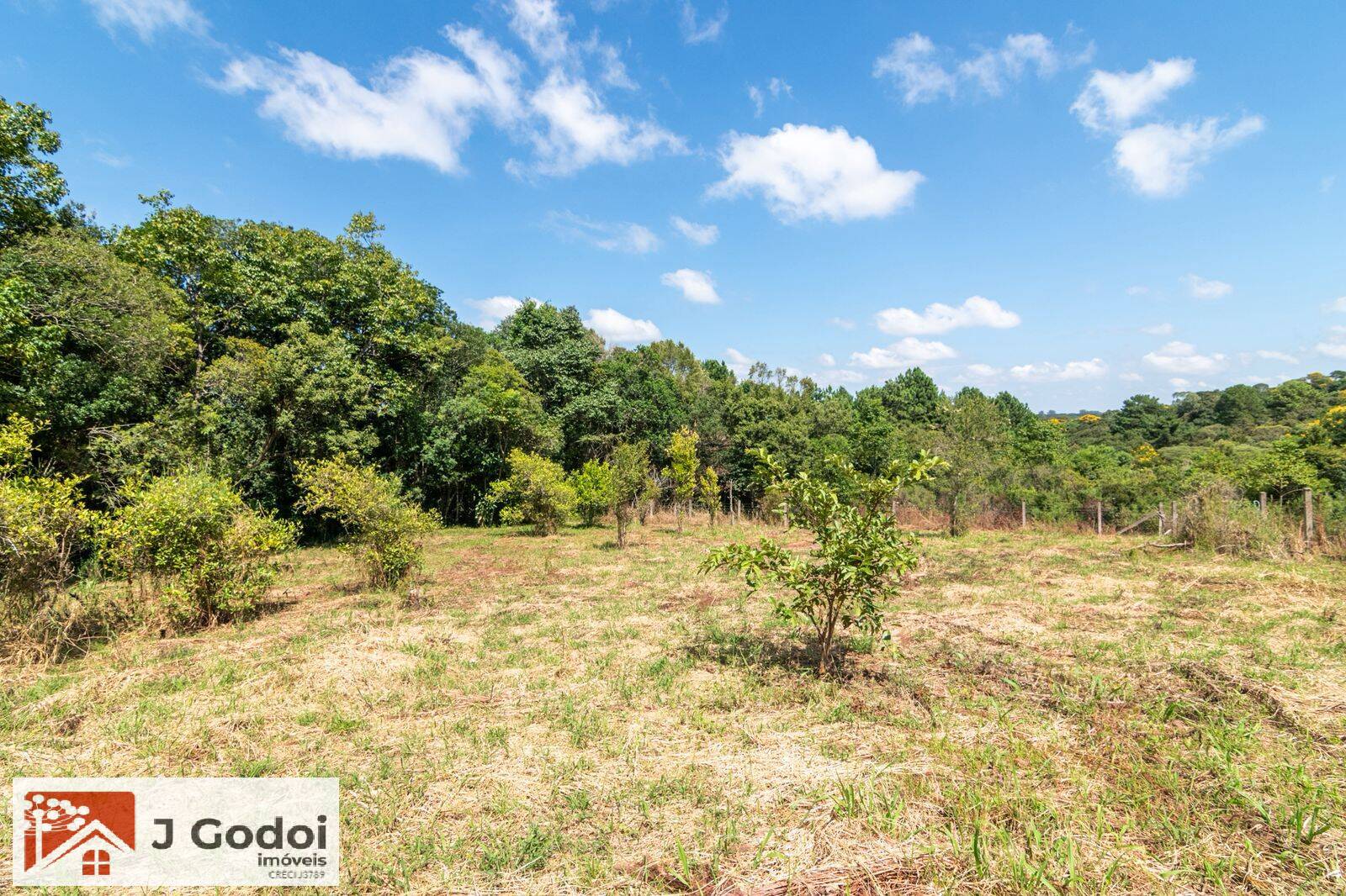 Chácara, 3 quartos, 3 hectares - Foto 17