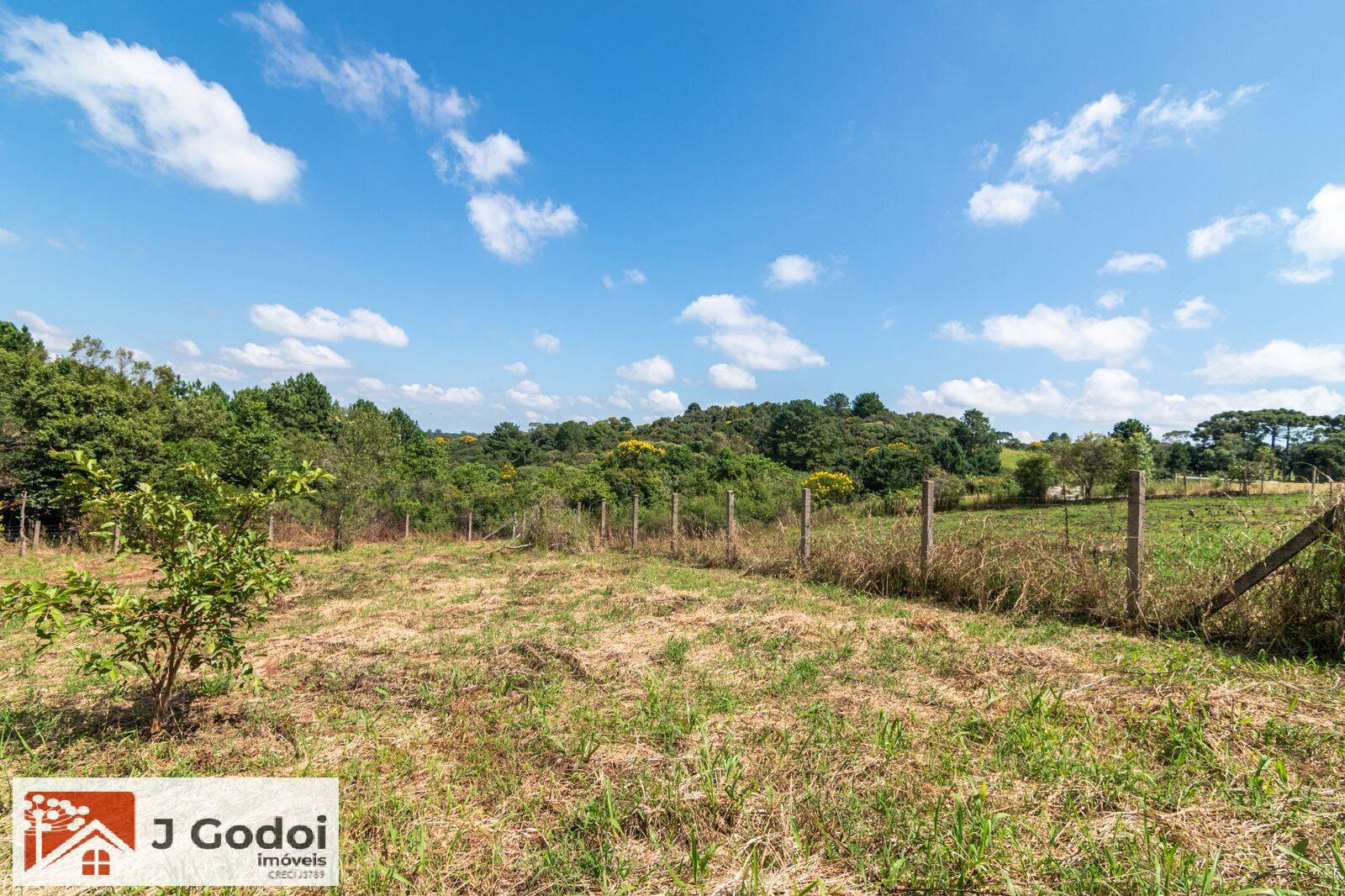 Chácara, 3 quartos, 3 hectares - Foto 14