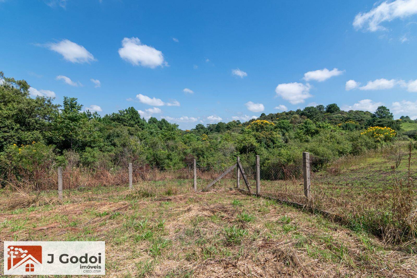 Chácara, 3 quartos, 3 hectares - Foto 20