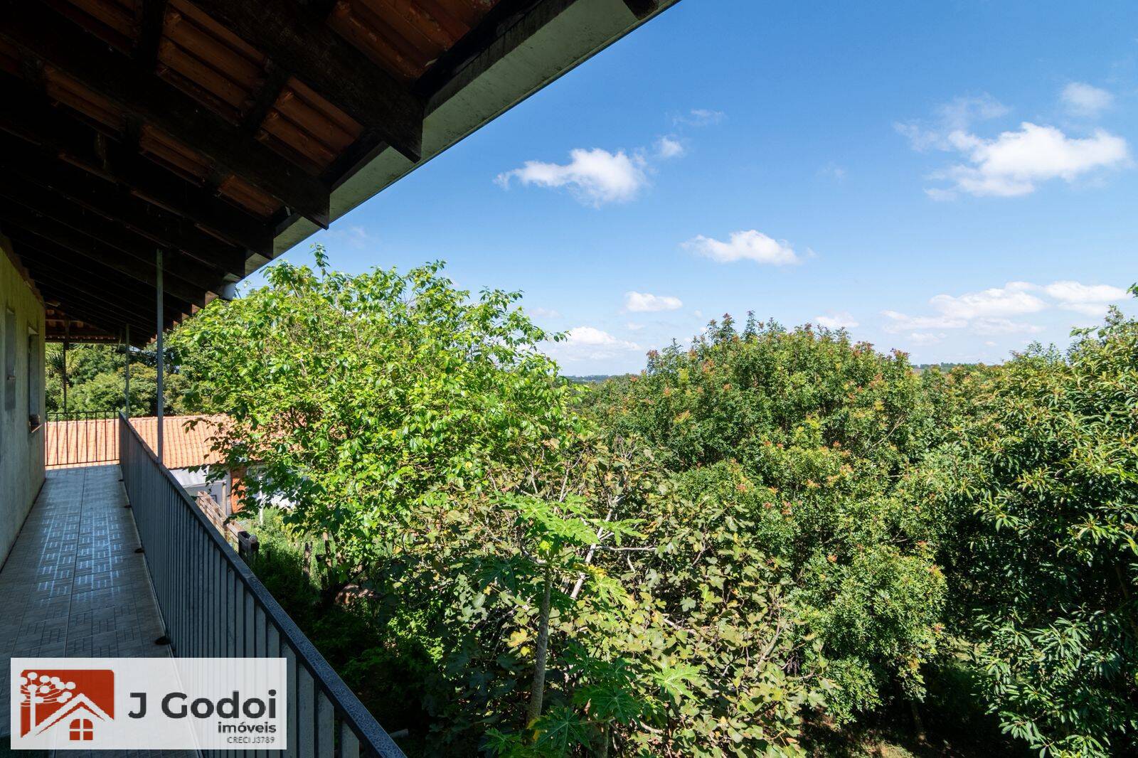Chácara, 3 quartos, 3 hectares - Foto 7